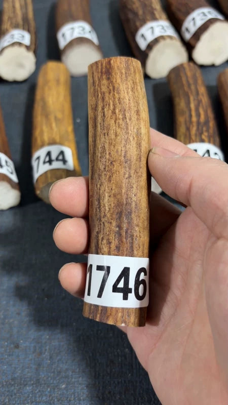 Antler Knife Handle Scale Blank #1746 – 113mm Natural Stag