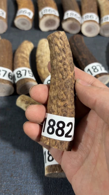 Antler Knife Handle Scale Blank #1882 – 100mm Natural Stag