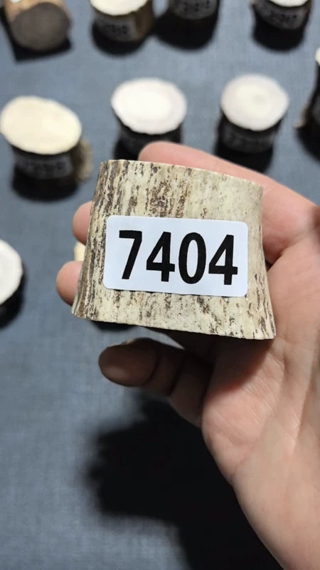 Antler Root Segment #7404 – 43-45mm Natural Stag