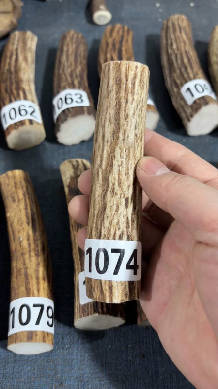 Antler Knife Handle Scale Blank #1074 – 124mm Natural Stag