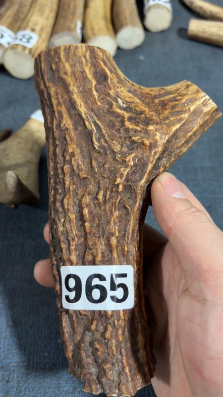 Antler Bow Material #8334 – 155×104×31mm Natural Stag