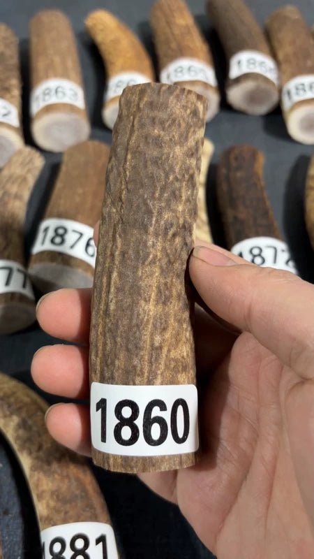 Antler Knife Handle Scale Blank #1860 – 116mm Natural Stag