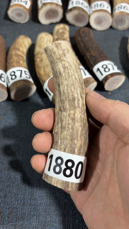 Antler Knife Handle Scale Blank #1880 – 112mm Natural Stag