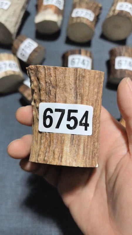 Antler Root Segment #6754 – 64-80mm Natural Stag