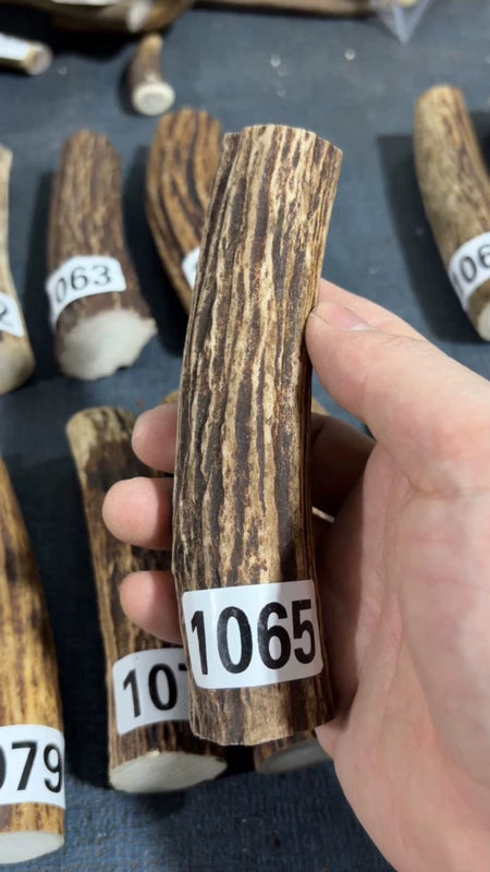 Antler Knife Handle Scale Blank #1065 – 135mm Natural Stag