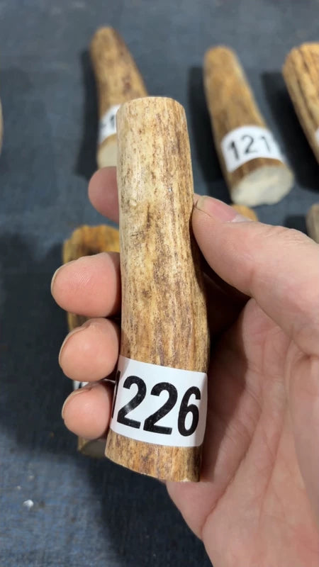 Antler Knife Handle Scale Blank #1226 – 100mm Natural Stag