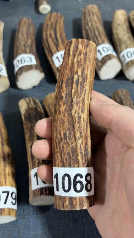 Antler Knife Handle Scale Blank #1068 – 132mm Natural Stag