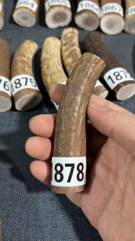 Antler Knife Handle Scale Blank #1878 – 102mm Natural Stag