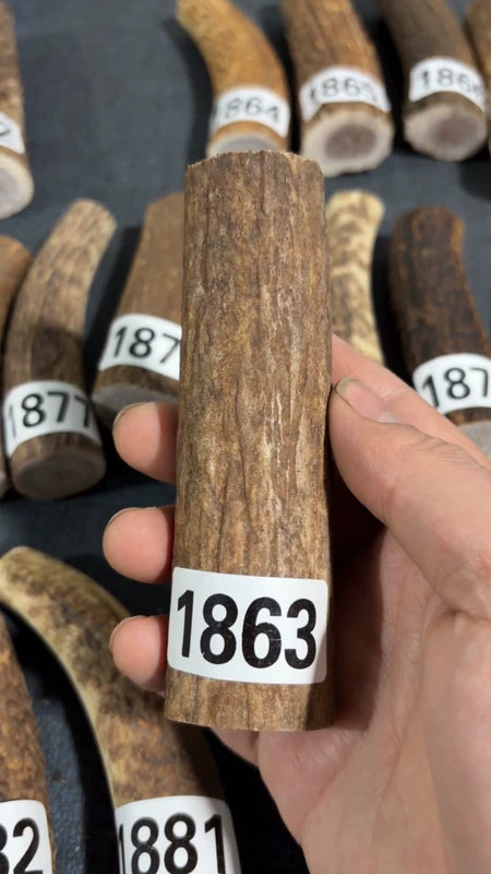 Antler Knife Handle Scale Blank #1863 – 116mm Natural Stag