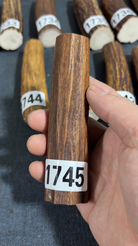Antler Knife Handle Scale Blank #1745 – 117mm Natural Stag