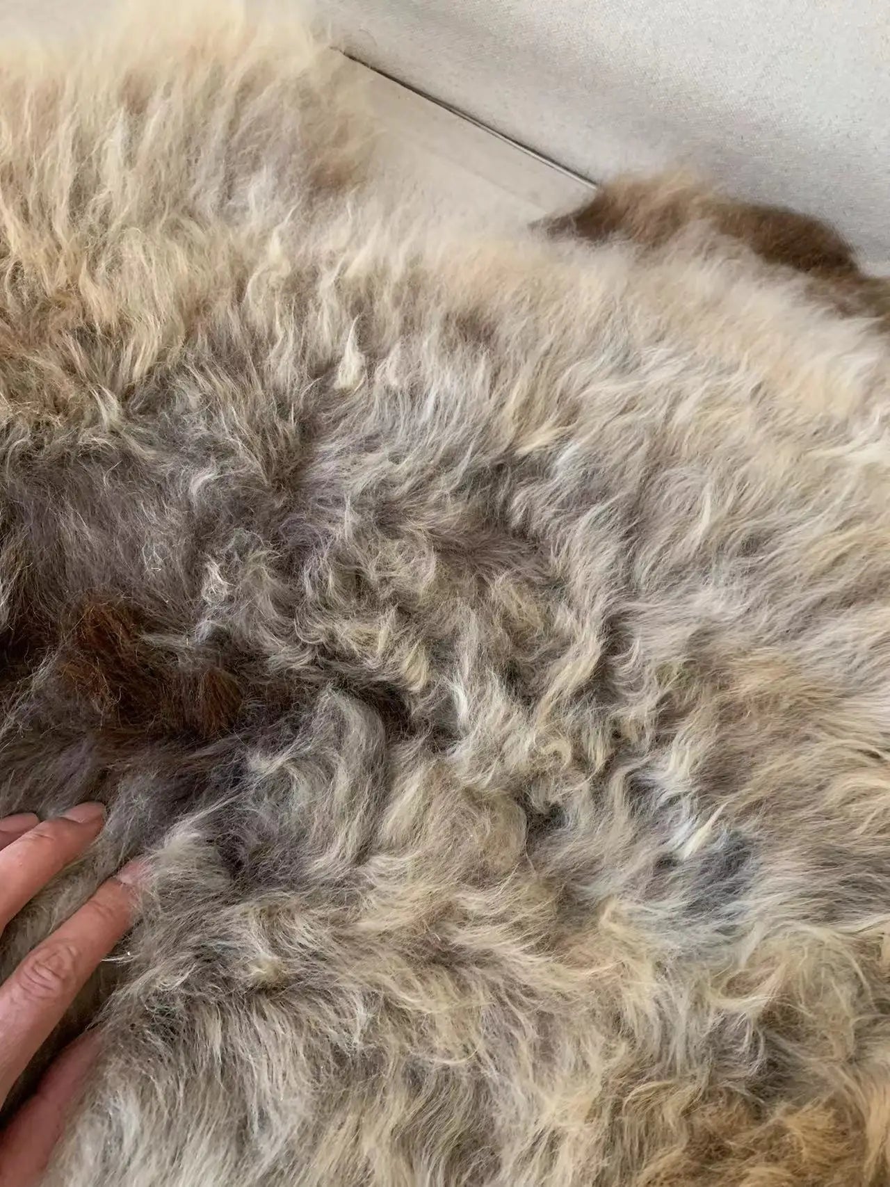 100% naturl sheepskin fur,Rare gradient colors Furry bedside blanket, leisure sofa cushion whole wool