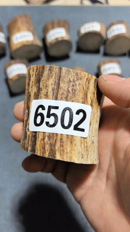 Antler Root Segment #6502 – 51-54mm Natural Stag