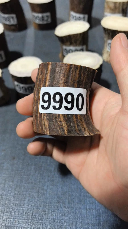 Antler Root Segment #9990 – 51-55mm Natural Stag