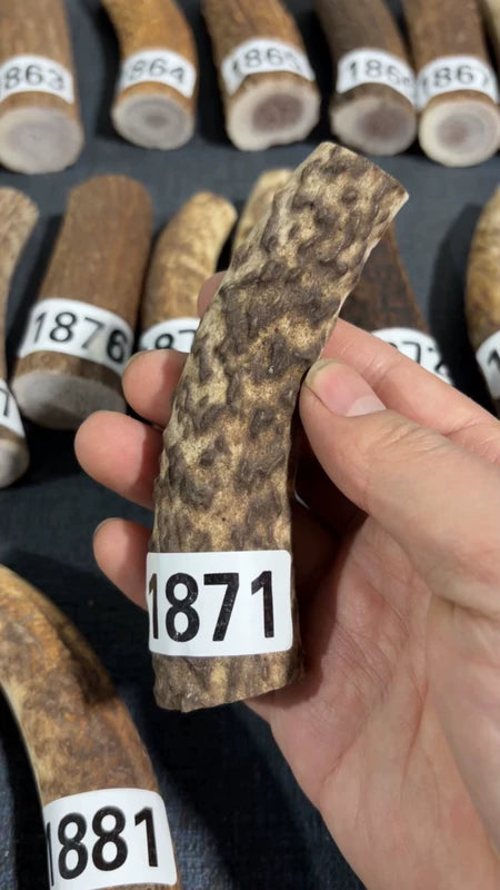 Antler Knife Handle Scale Blank #1871 – 115mm Natural Stag