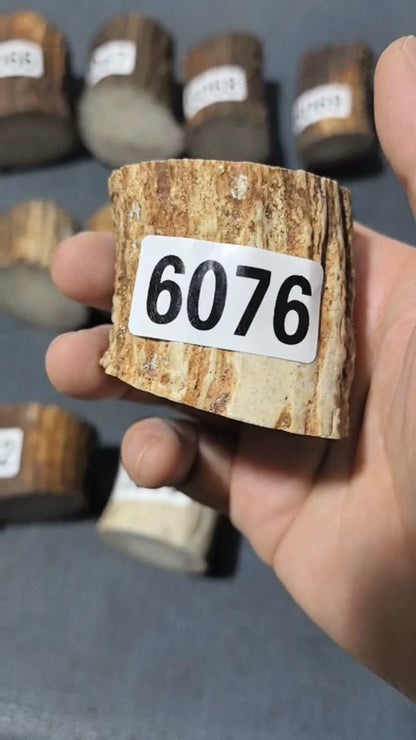 Antler Root Segment #6076 – 42-52mm Natural Stag