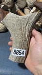 Antler Bow Material #8854 – 145×125×35mm Natural Stag