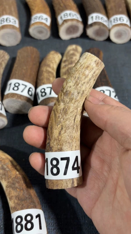 Antler Knife Handle Scale Blank #1874 – 104mm Natural Stag