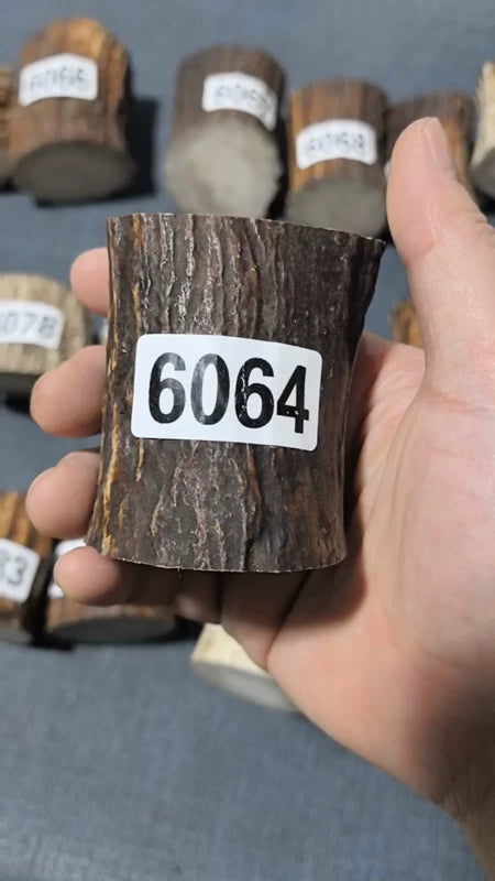 Antler Root Segment #6064 – 67-71mm Natural Stag