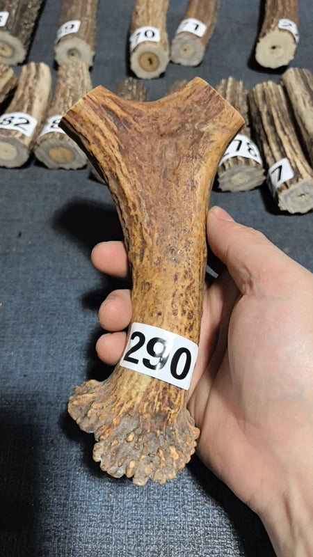 Antler Bow Material #290 – 170×92×27mm Natural Stag
