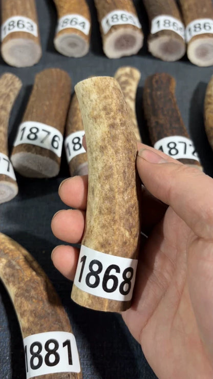 Antler Knife Handle Scale Blank #1868 – 117mm Natural Stag