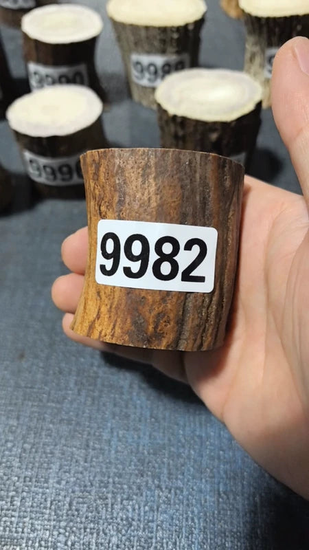Antler Root Segment #9982 – 58-60mm Natural Stag