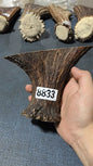 Antler Bow Material #8833 – 120×160×36mm Natural Stag