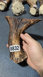 Antler Bow Material #8832 – 145×140×37mm Natural Stag