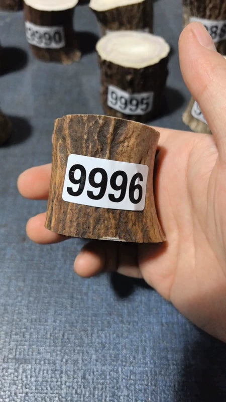 Antler Root Segment #9996 – 45-50mm Natural Stag