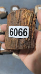 Antler Root Segment #6066 – 54-70mm Natural Stag