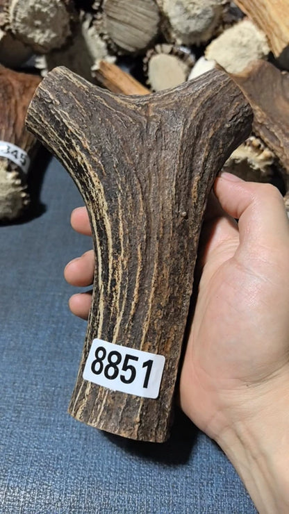Antler Bow Material #8851 – 185×118×40mm Natural Stag