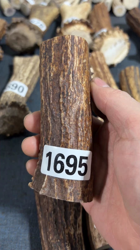 Antler Knife Handle Scale Blank #1692 – 112mm Natural Stag