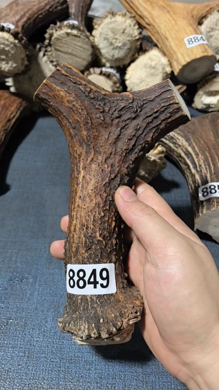 Antler Bow Material #8849 – 180×120×32mm Natural Stag