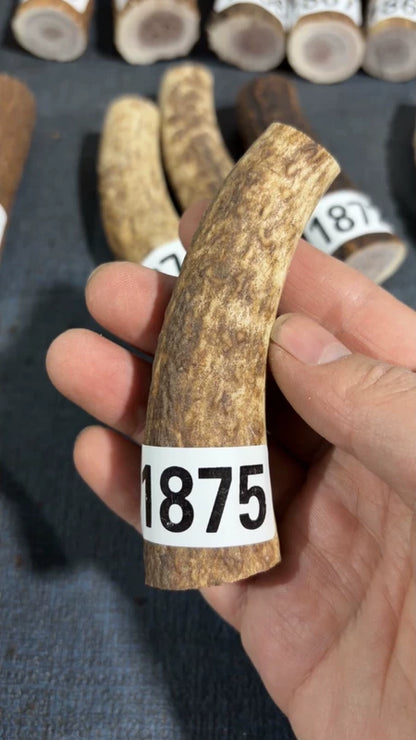 Antler Knife Handle Scale Blank #1875 – 95mm Natural Stag