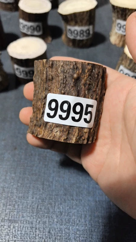 Antler Root Segment #9995 – 55-57mm Natural Stag