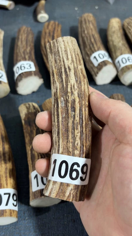 Antler Knife Handle Scale Blank #1069 – 130mm Natural Stag