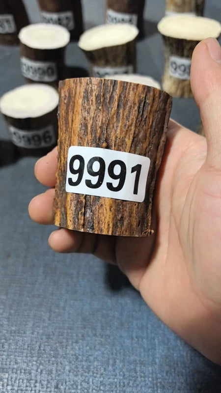 Antler Root Segment #9991 – 65-66mm Natural Stag