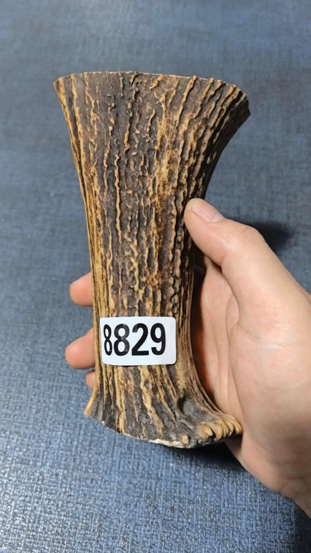 Antler Bow Material #8829 – 160×96×38mm Natural Stag