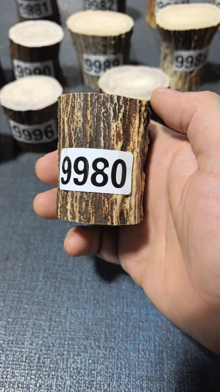 Antler Root Segment #9980 – 58-61mm Natural Stag