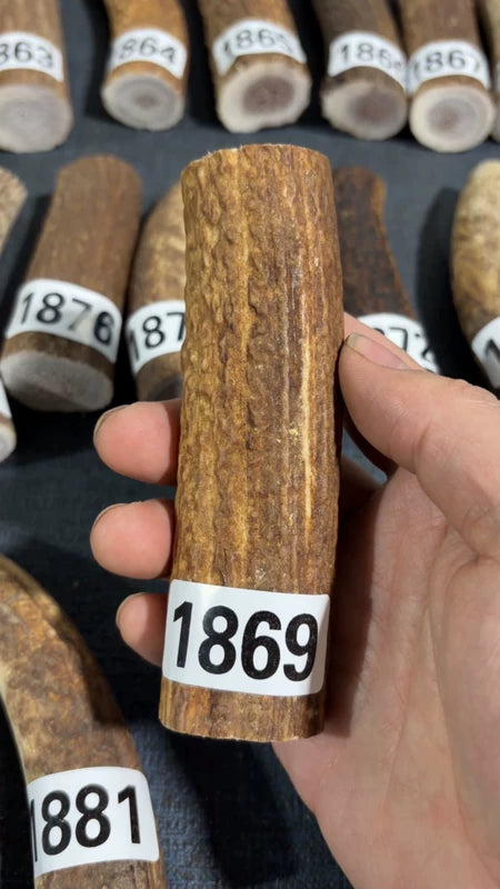 Antler Knife Handle Scale Blank #1869 – 118mm Natural Stag