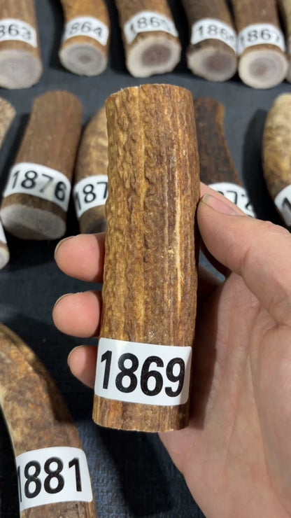 Antler Knife Handle Scale Blank #1869 – 118mm Natural Stag