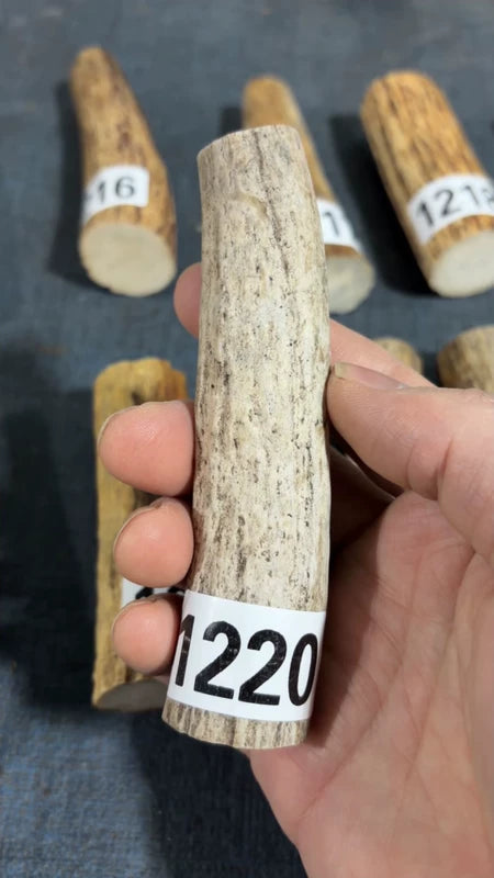 Antler Knife Handle Scale Blank #1220 – 115mm Natural Stag