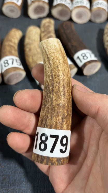 Antler Knife Handle Scale Blank #1879 – 98mm Natural Stag