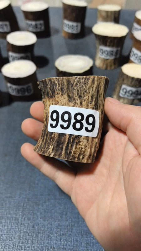 Antler Root Segment #9989 – 56-67mm Natural Stag