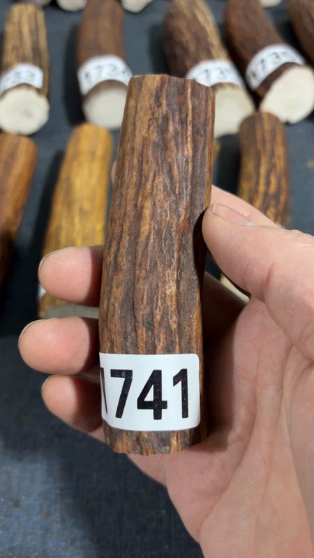 Antler Knife Handle Scale Blank #1741 – 105mm Natural Stag