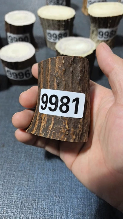 Antler Root Segment #9981 – 59-68mm Natural Stag