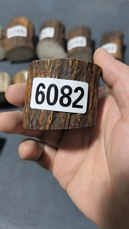 Antler Root Segment #6082 – 39-49mm Natural Stag