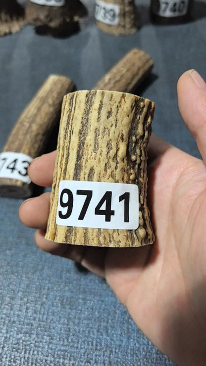 Antler Root Segment #9741 – 66mm Natural Stag