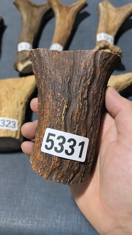 Antler Root Segment #5331 – 95-110mm Natural Stag