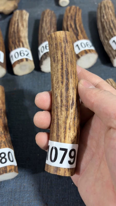 Antler Knife Handle Scale Blank #1079 – 125mm Natural Stag