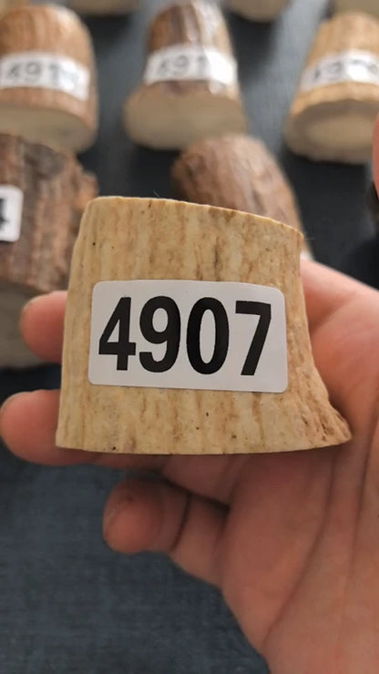 Antler Root Segment #4907 – 39-46mm Natural Stag
